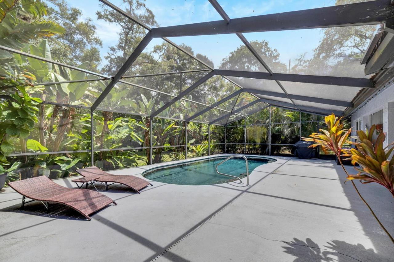 Palm Harbor Estate W/ Pool & Fruit Trees On Acre Villa Exterior photo