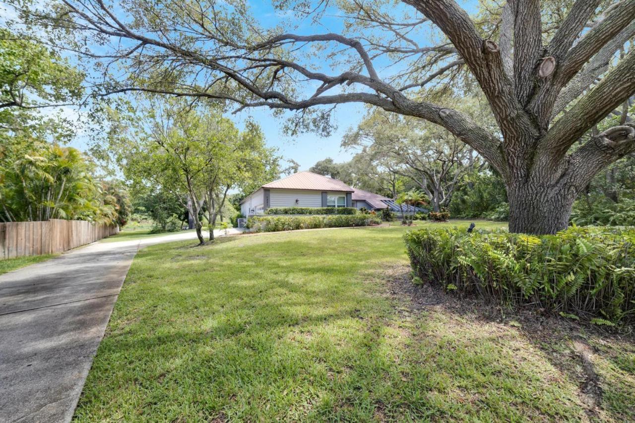 Palm Harbor Estate W/ Pool & Fruit Trees On Acre Villa Exterior photo